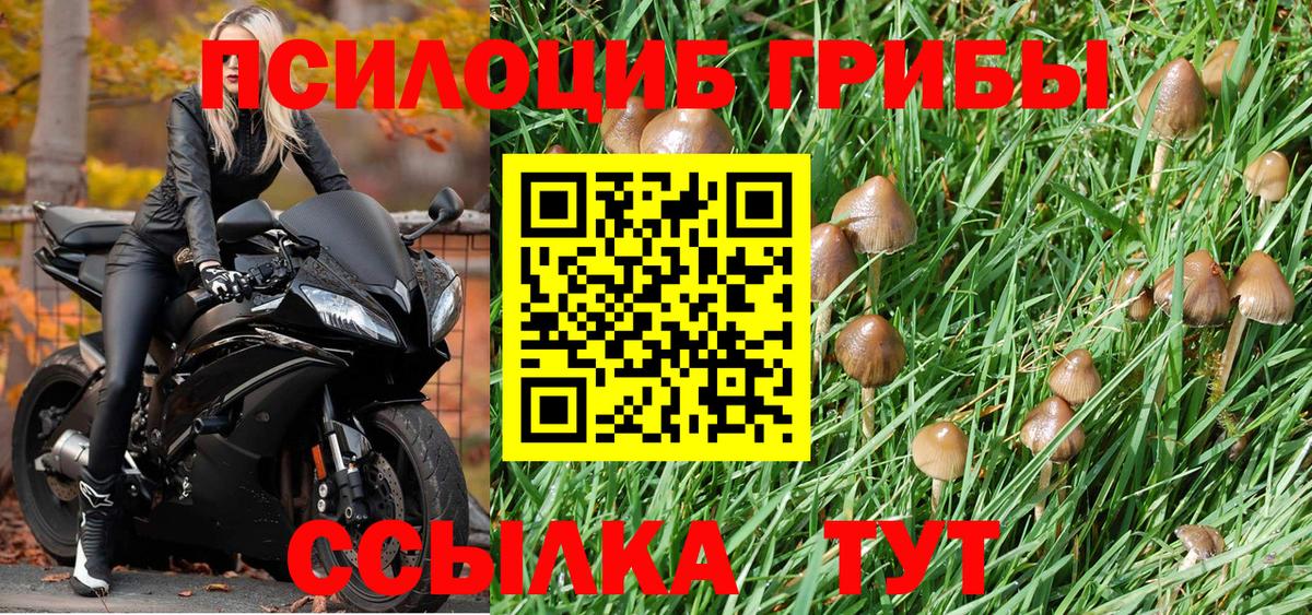 Галлюциногенные грибы Magic Shrooms Отрадное