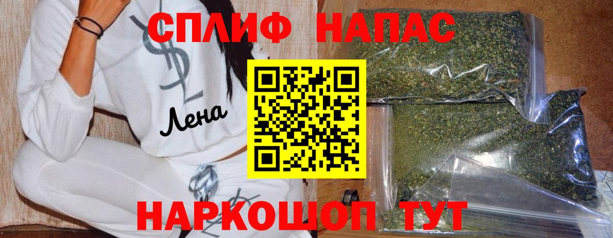 Бошки Шишки планчик Отрадное